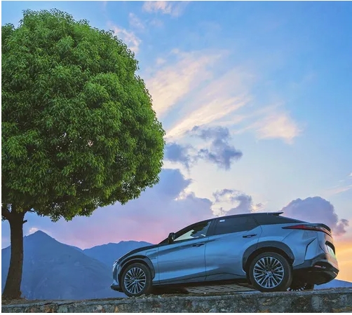 天呐!!!這車也泰褲辣(圖1) 天呐!!!這車也泰褲辣(圖1)