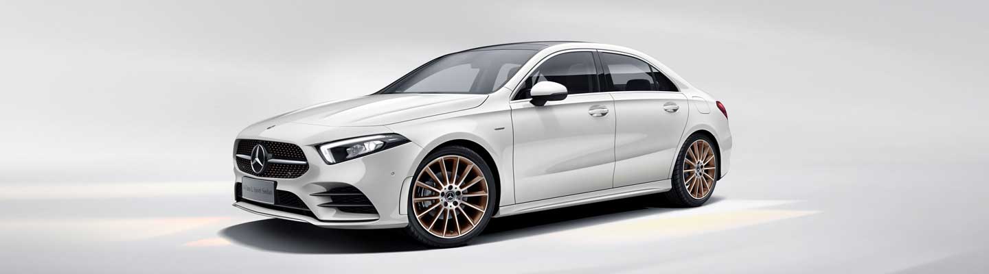 A 200 L 運動轎車 先型特别版(圖16) 1