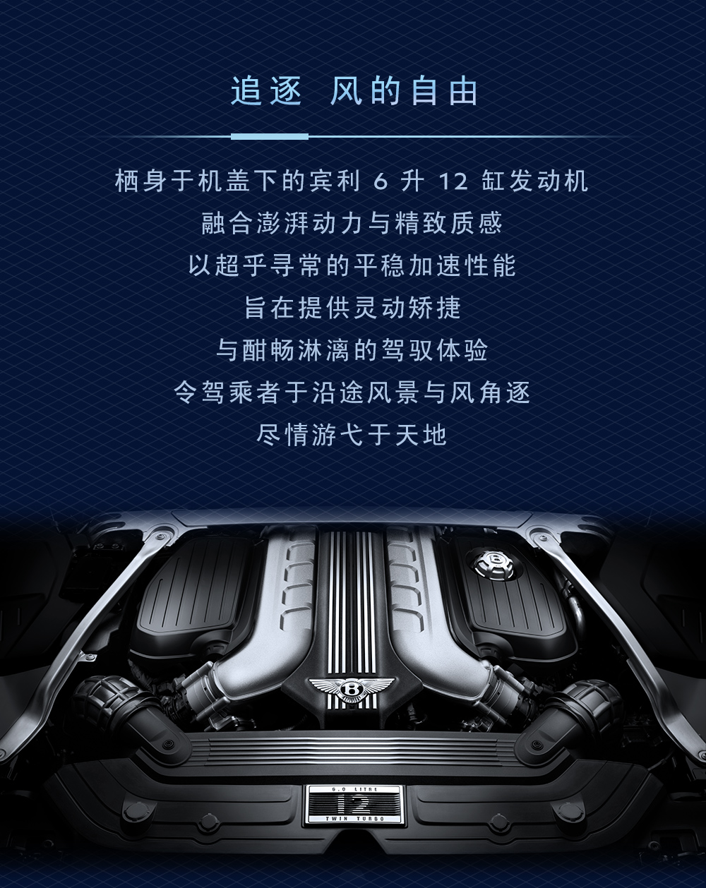 于廣袤天地間，縱情一夏(圖4)